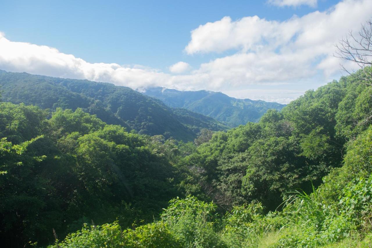 La Casa Bonita Daire Monteverde Dış mekan fotoğraf