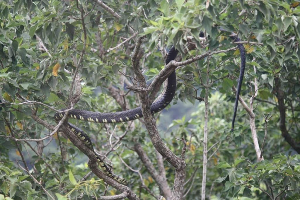 La Casa Bonita Daire Monteverde Dış mekan fotoğraf