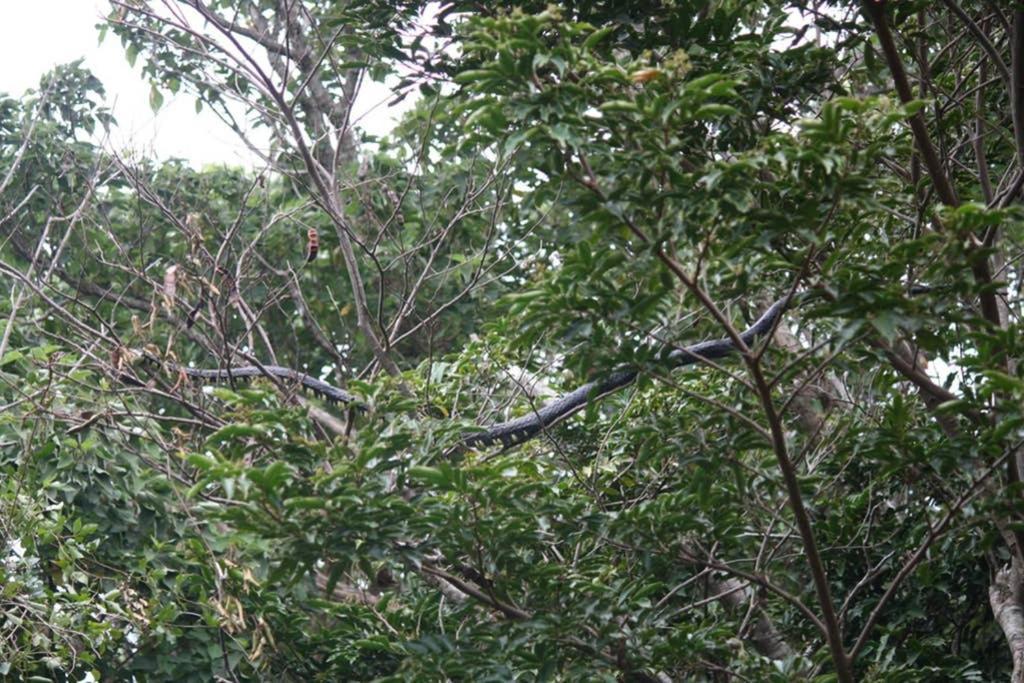 La Casa Bonita Daire Monteverde Dış mekan fotoğraf