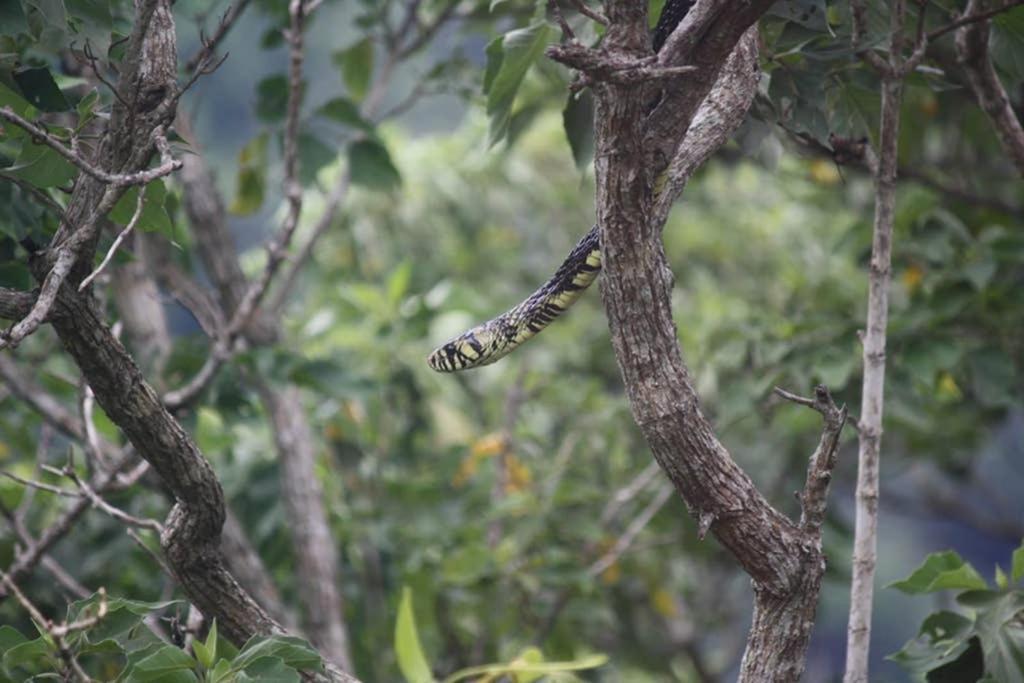 La Casa Bonita Daire Monteverde Dış mekan fotoğraf