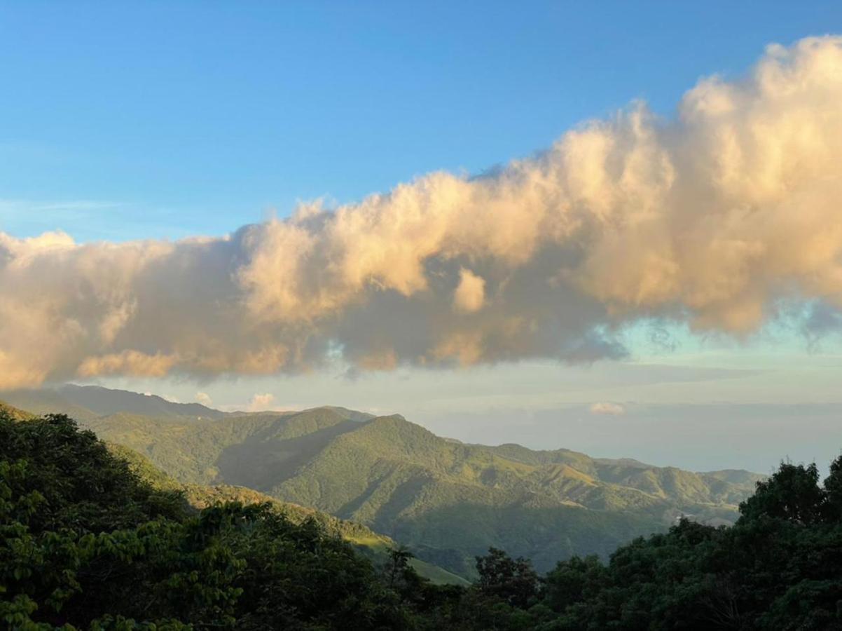 La Casa Bonita Daire Monteverde Dış mekan fotoğraf