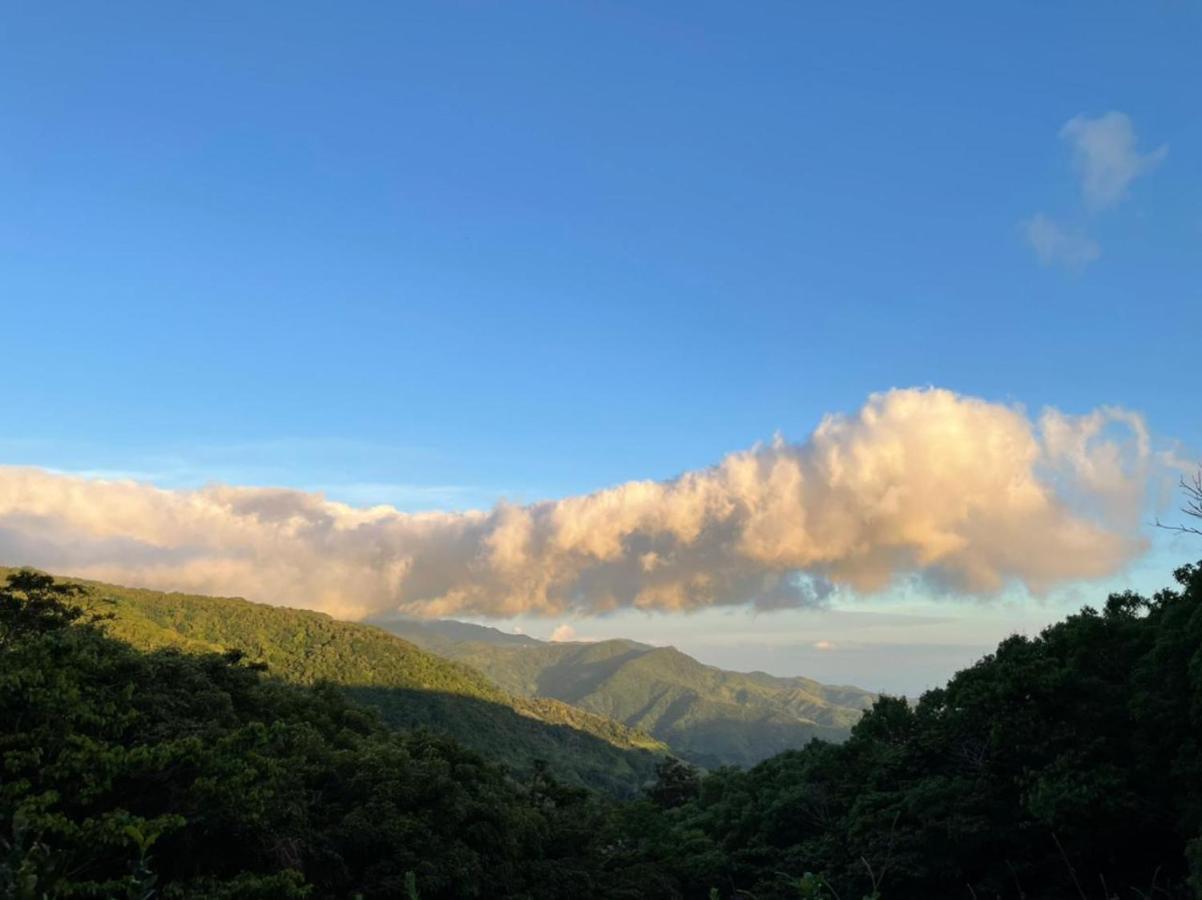 La Casa Bonita Daire Monteverde Dış mekan fotoğraf